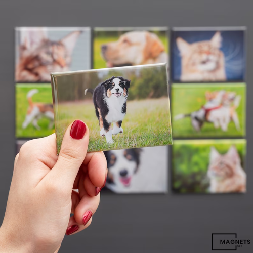 50x50mm Photo Magnets